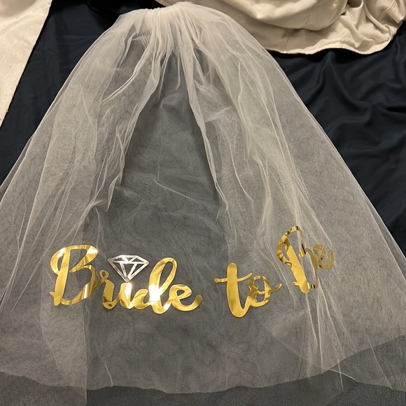 Bridal/bachelorette sash and vail - Picture 4 of 5